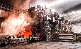 Combustion plant
