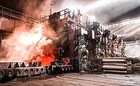 Combustion plant