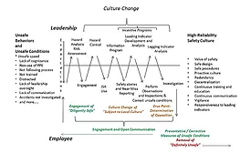 Worden's Model for Culture Change