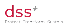 dss_logo.png