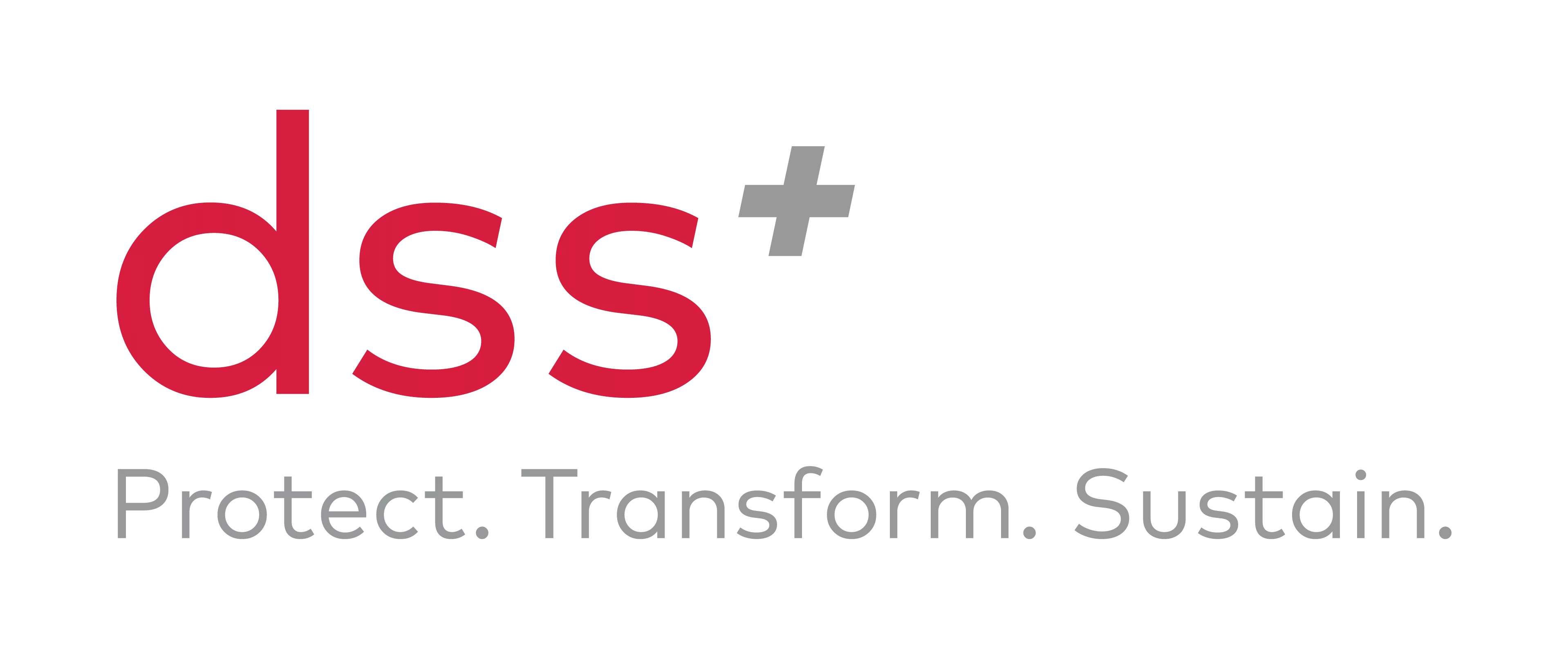 dss_logo.png