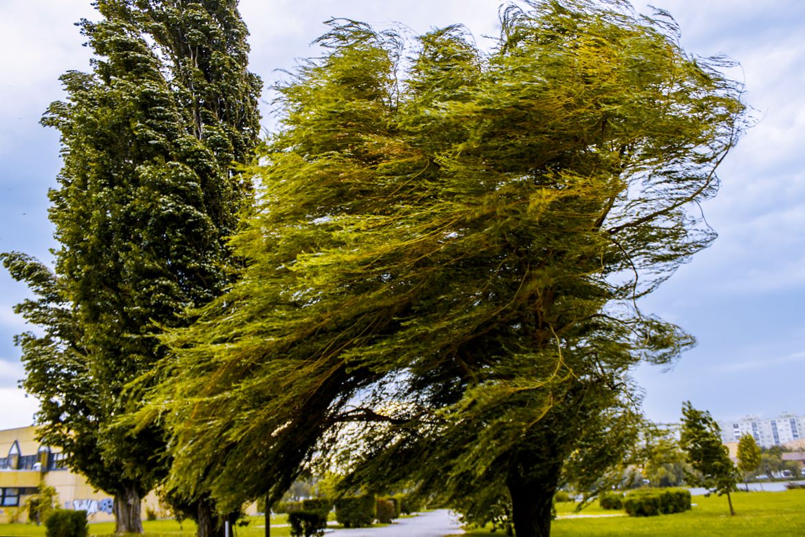 Windy Getty Images