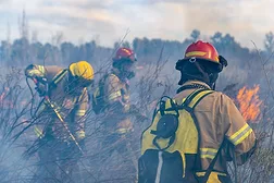 Wildfires
