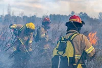 Wildfires