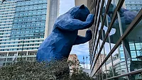 Safety 2024 bear convention center.jpg