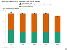 BLS total nonfatal work injuries 2024
