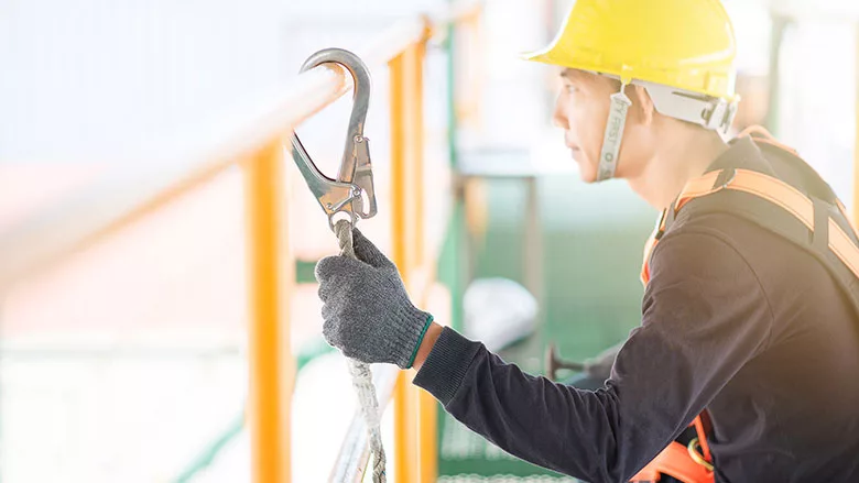 fall safety harness