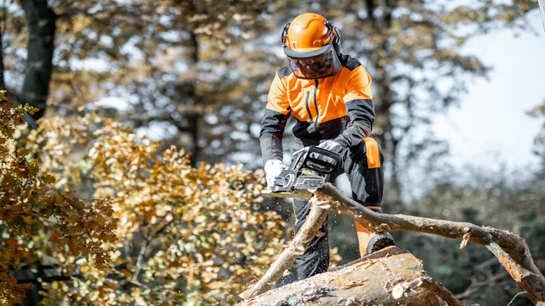 Tree safety