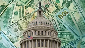 Government Budget