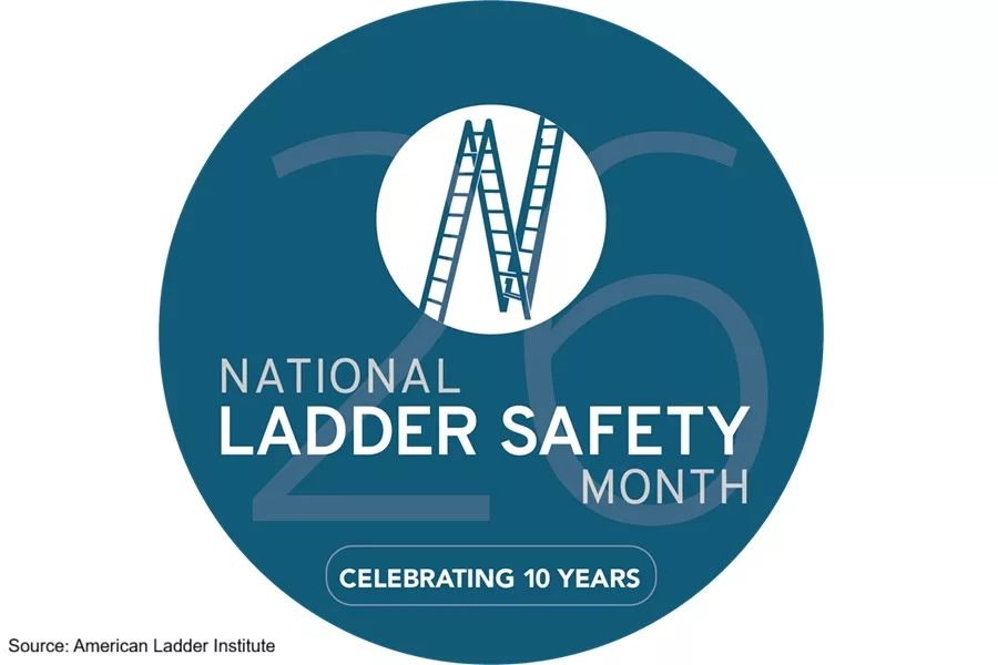 AmericanLadderInstitute_YearLong.jpg