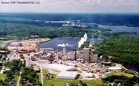 CSB_WoodlandPulp.jpg