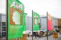 AplusA flags.jpg AplusA pavilions