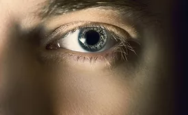 eye