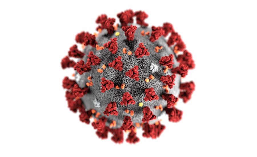 coronavirus-900.gif