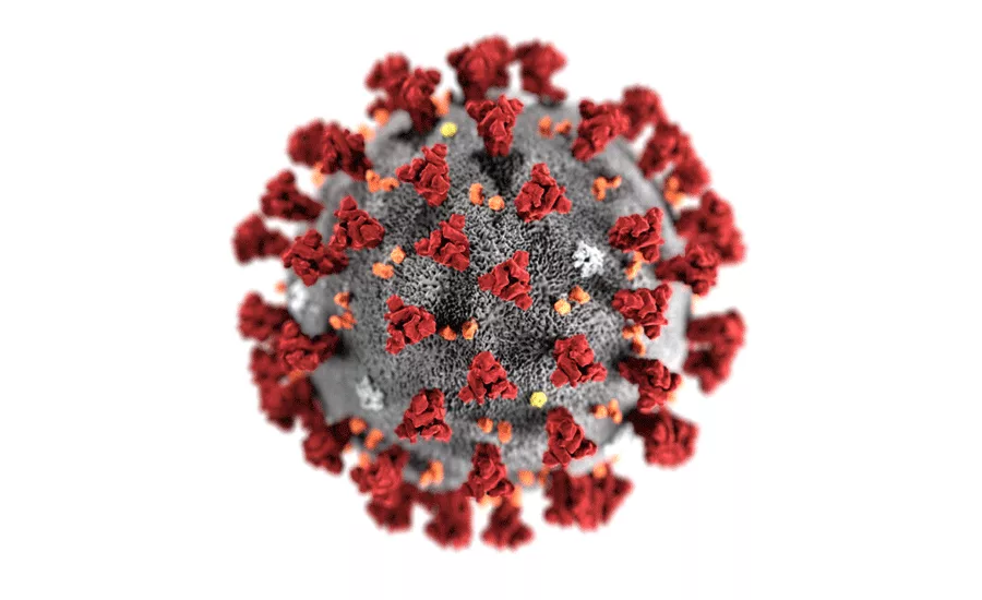 coronavirus