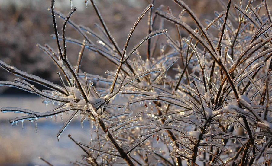 winter