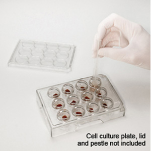 Cell culture plate