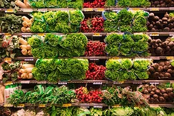 Food supply chain