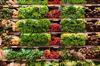 Food supply chain