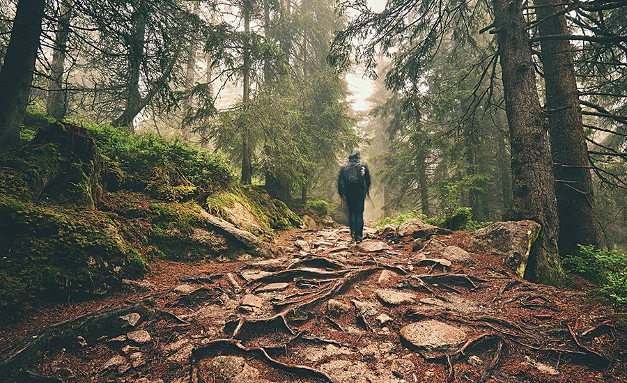 hiking