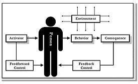 feedforward 