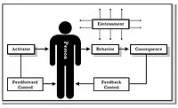 feedforward 