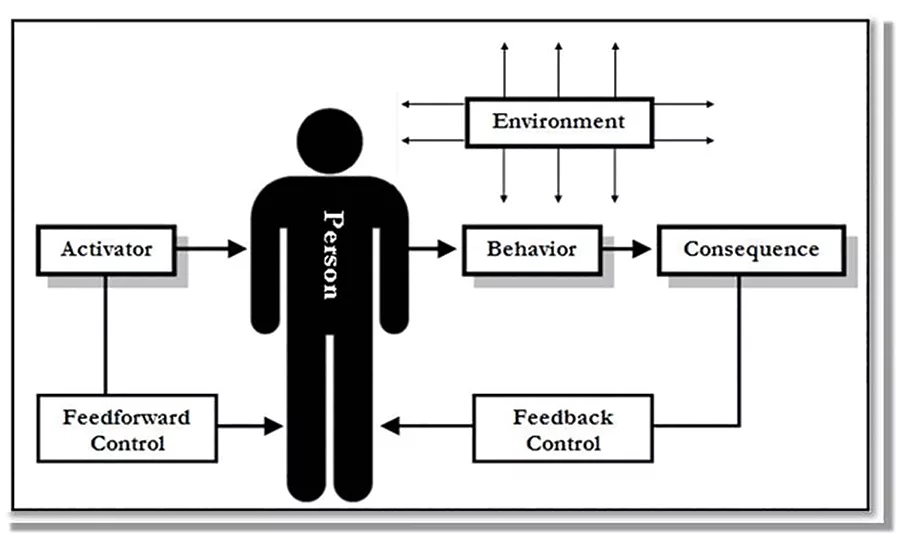 feedforward