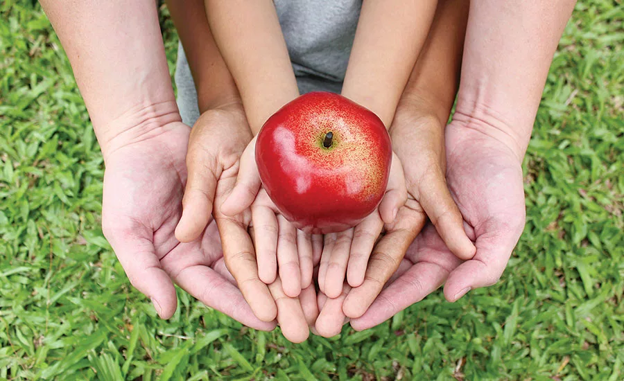  food supply chain