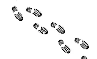Walking for health trends