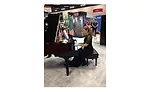 Soothing piano music on the expo floor.