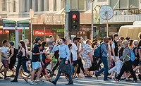 Pedestrian Safety 