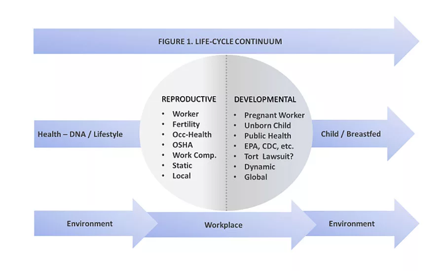 Michigan OSHA’s lead standard exposure limits for pregnant workers