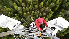 full-body harness standard
