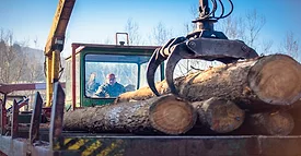 logger working with a crane