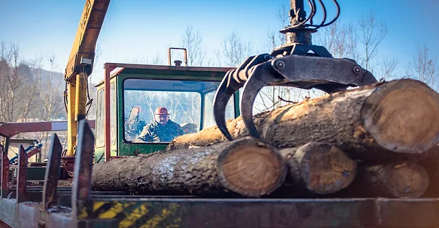logger working with a crane