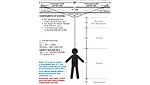 fall protection system