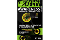 2012 workplace death infographic