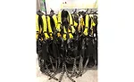 HARNESSES2.jpg