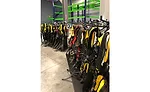 RACK-OF-HARNESSES.jpg