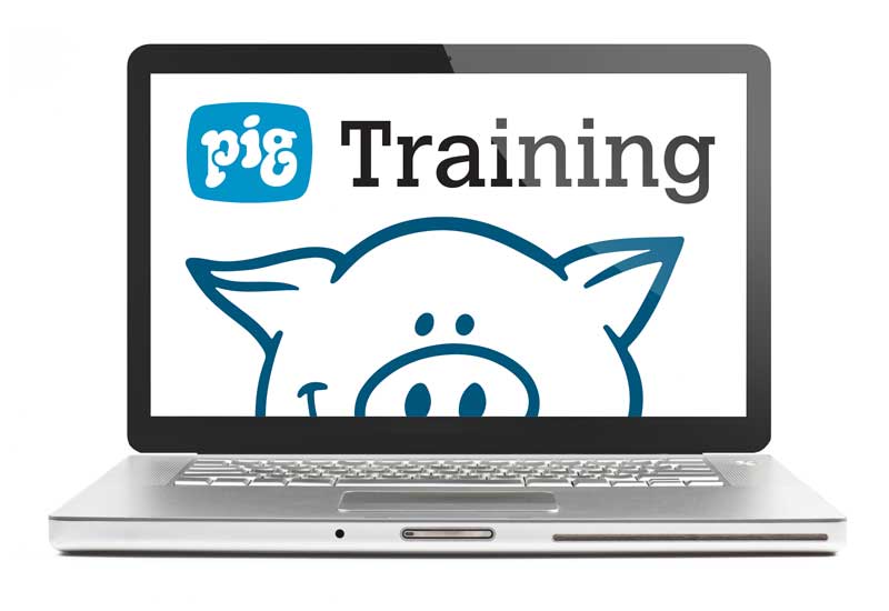 new-pig-training.jpg
