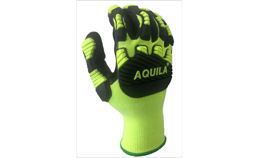 Aquila