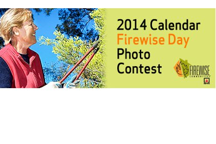 NFPA photo contest