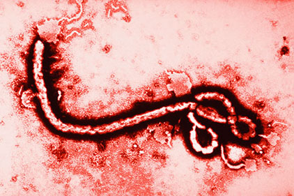 ebola-422.jpg